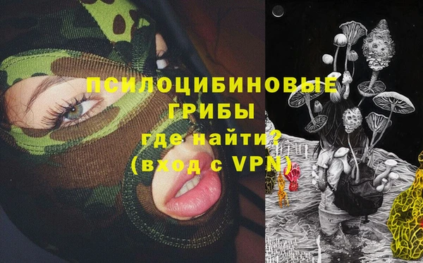 метадон Алексин