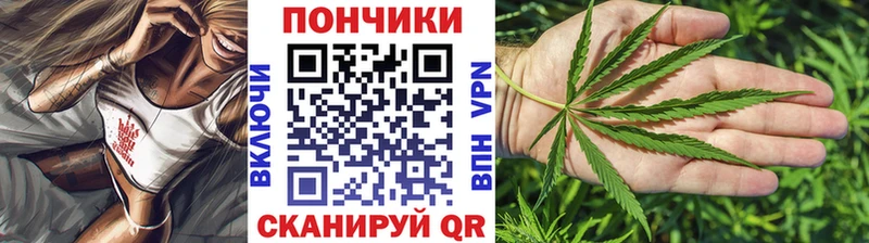 МАРИХУАНА сатива Красково